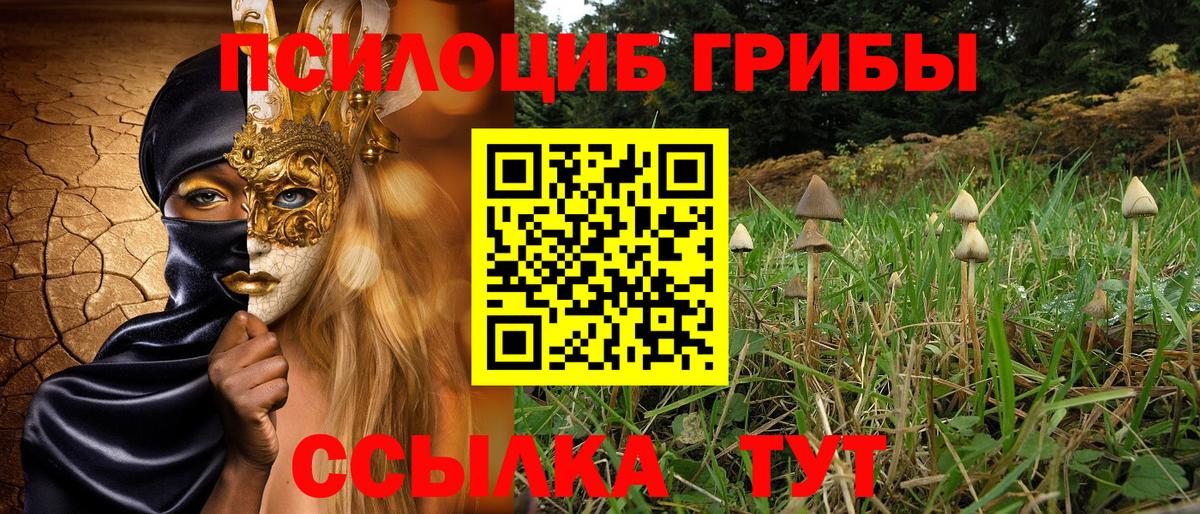 где найти наркотики  Вход с VPN  Псилоцибиновые грибы GOLDEN TEACHER  Нерюнгри  Галлюциногенные грибы GOLDEN TEACHER 